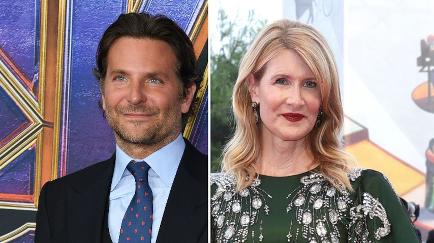 Was läuft da mit Bradley Cooper? Jetzt spricht Laura Dern