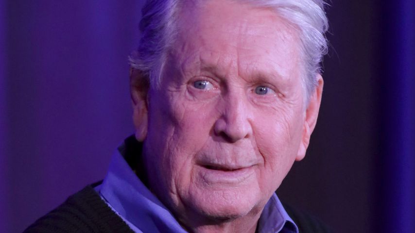 Brian Wilson, Musiker