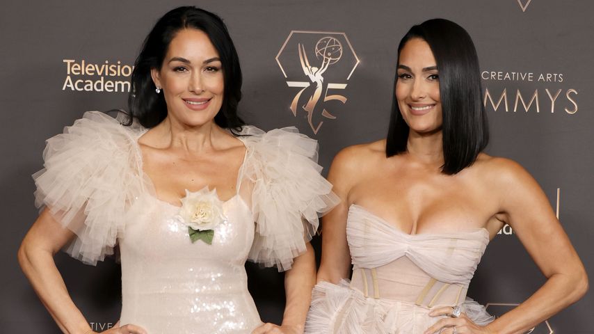 Brie und Nikki Garcia, Ex-Wrestlerinnen