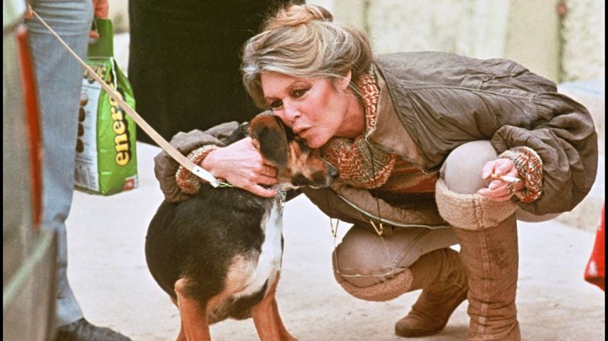 Das passiert nun mit Brigitte Bardots Tieren nach ihrem Tod