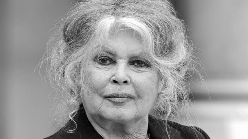 Eilmeldung: Film-Ikone Brigitte Bardot ist tot