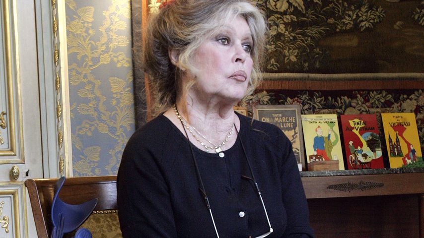 Wirre Äußerungen: Brigitte Bardot schießt gegen Ausländer