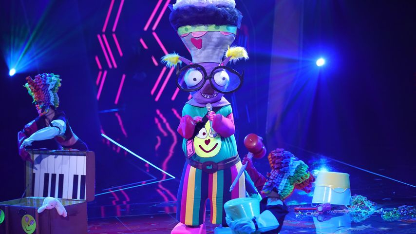 Erster "The Masked Singer"-Exit: Dieser Promi war Brilli