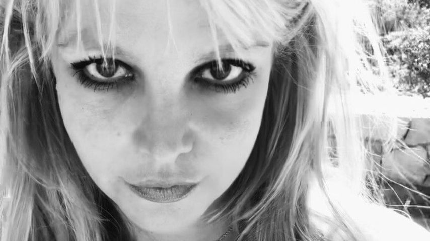 Irre Theorie: Arbeitete Britney Spears etwa fürs Weiße Haus?