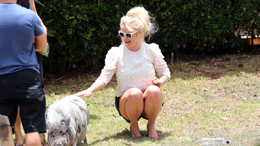 Dieser Ausflug auf Hawaii macht Britney Spears sauglücklich
