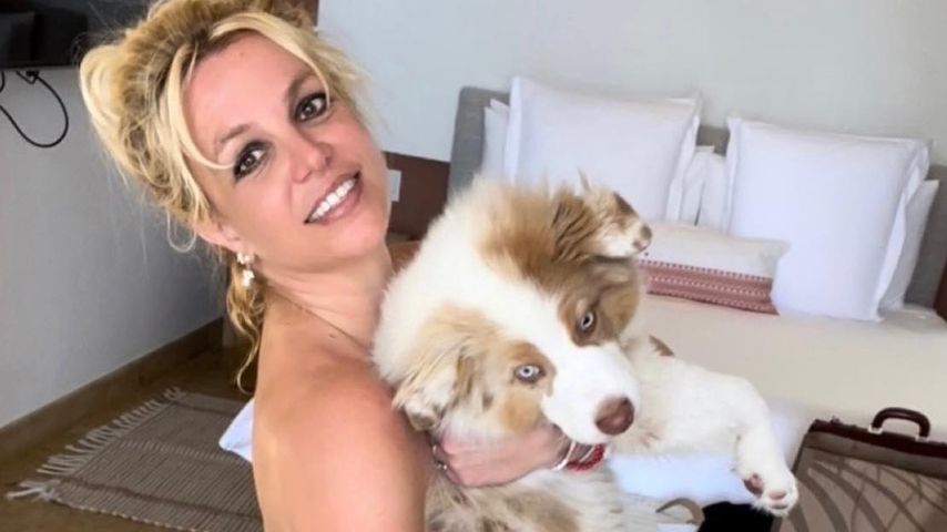 Britney Spears und ihr Hund Sawyer
