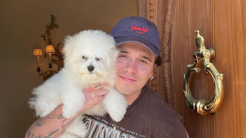 Konkurrenz: Wer ist süßer, Brooklyn Beckham oder sein Hund?