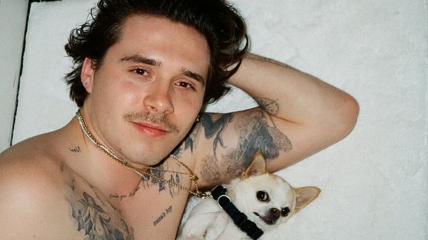 Brooklyn Beckham mit seiner Hündin Nala
