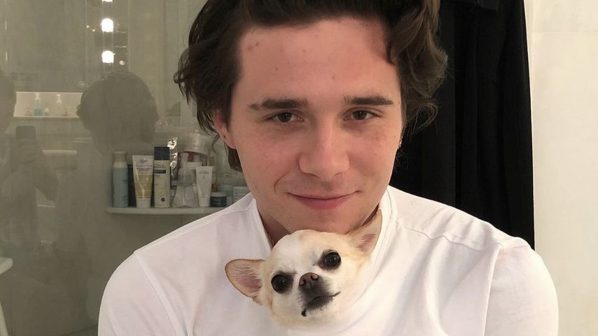 Brooklyn Peltz-Beckham und sein Hund Nala