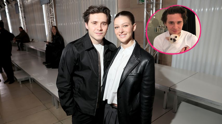 Brooklyn und Nicola Peltz-Beckham trauern: Ihr Hund ist tot