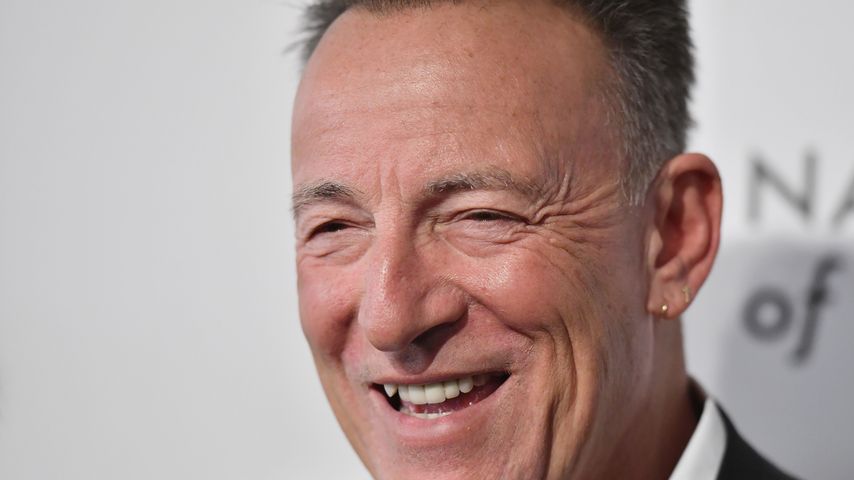Bruce Springsteen, Musiker