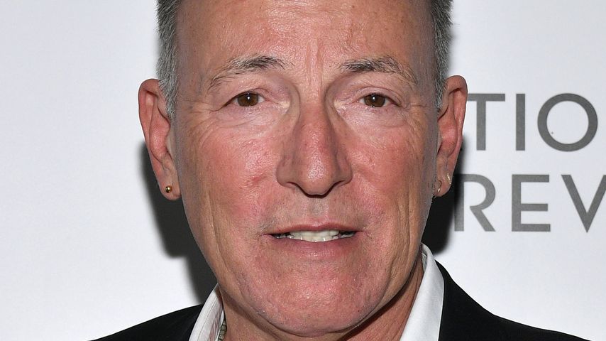Bruce Springsteen, Musiker