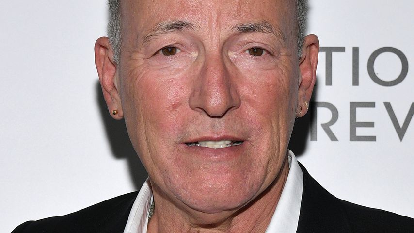 Bruce Springsteen, Musiker