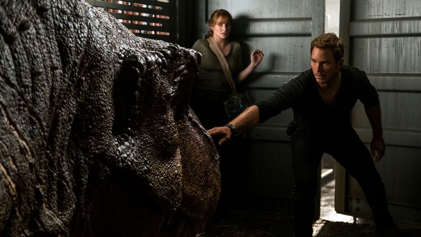 "Großer Film": "Jurassic World: Dominion" ist abgedreht!
