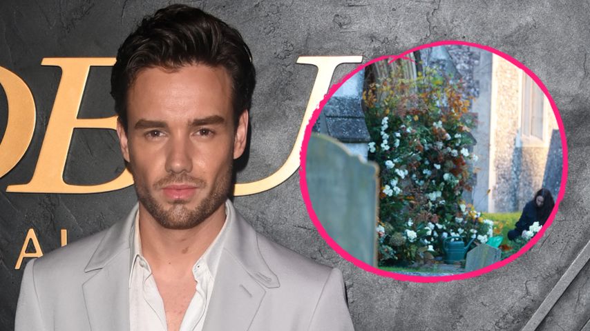 Liam Payne, Sänger