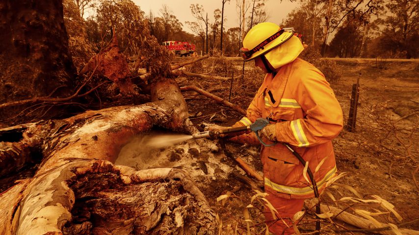 Buschbrände in Australien im Januar 2020