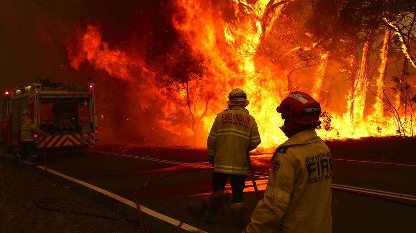 Buschbrände in Australien, Dezember 2019
