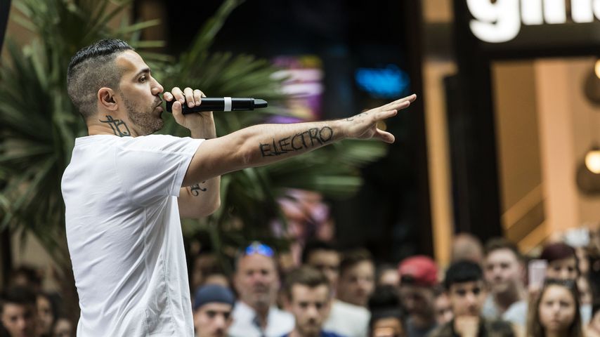 Bushido, Musiker