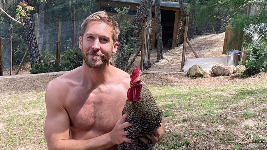 Von Hunden getötet: Calvin Harris trauert um Hahn Smokey