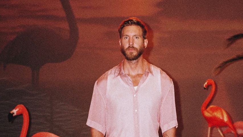 Calvin Harris im Mai 2022