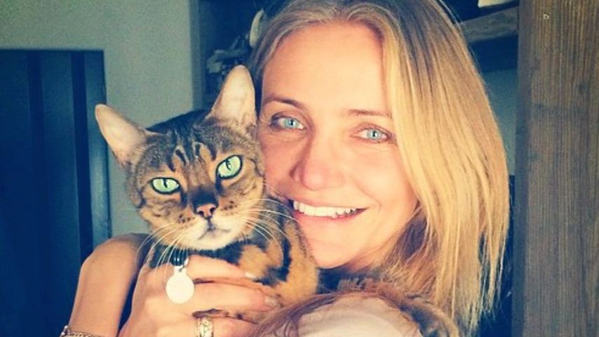 Cameron Diaz, Schauspielerin