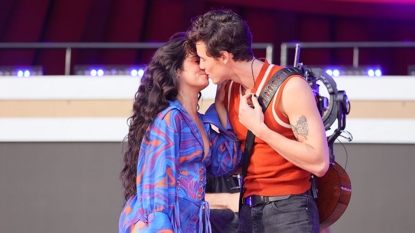 Camila Cabello und Shawn Mendes, Musiker