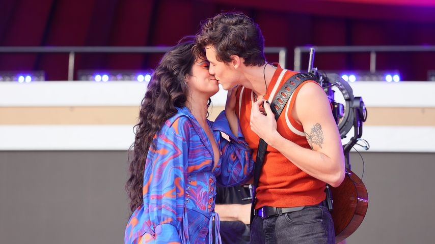 Camila Cabello und Shawn Mendes, Musiker