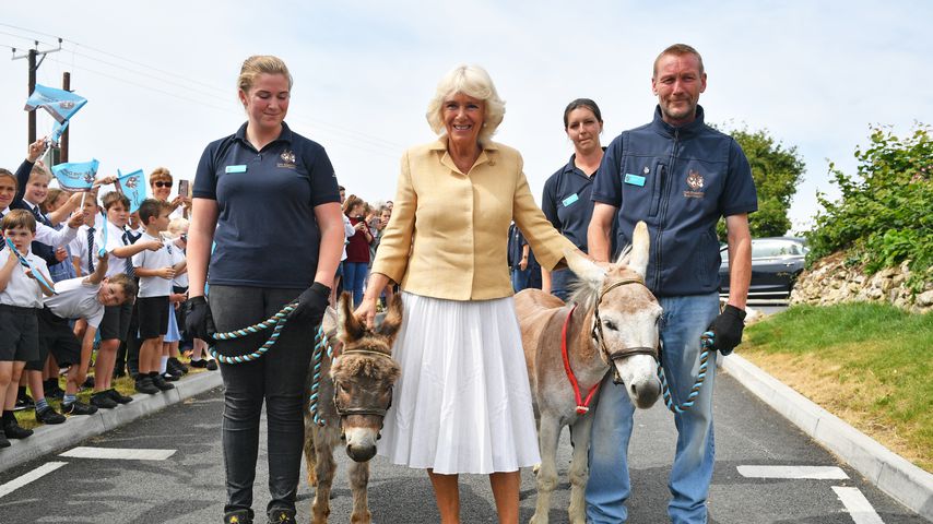 Duchess Camilla bei einem Charity-Event