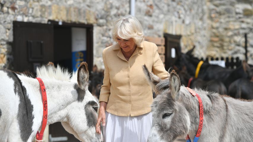 Déjà-vu? Das Outfit kennen wir schon, Camilla!
