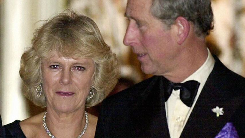 Camilla und Charles im November 2002