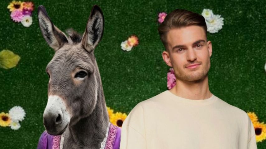 Can Kaplan hält die Hand eines KI-bearbeiteten Esels