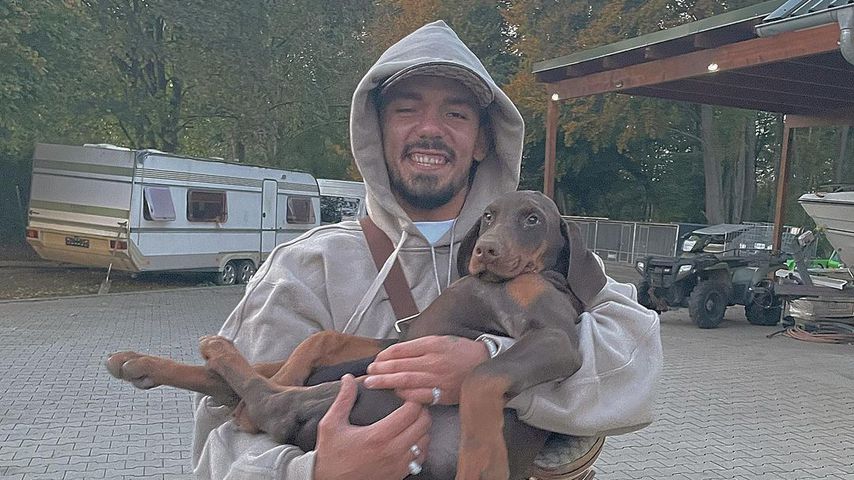 Süße Schlappohren: Capital Bra kuschelt mit neuem Hund Pasha
