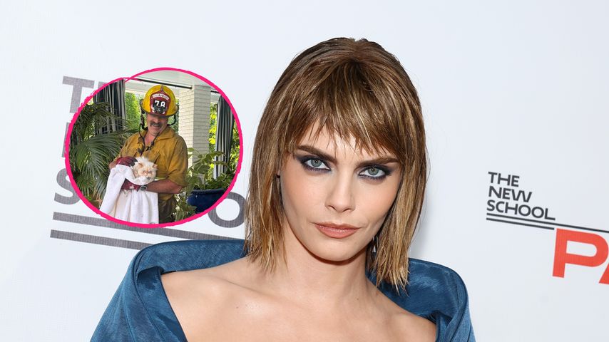 Nach Brand: Cara Delevingnes Katzen wurden lebend gefunden!