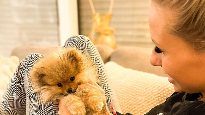 Carina Spack ist sauer: Sie schiebt ihren Hund nicht ab!