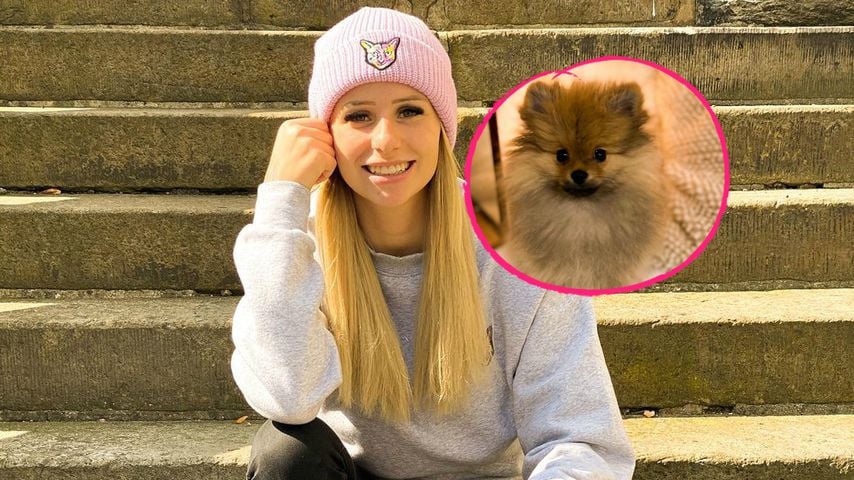 Nach Trennung von Serkan: Carina Spack ist erneut Hunde-Mami