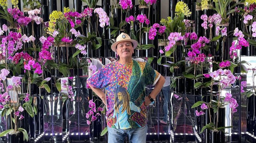 Carlos Santana, Gitarrist