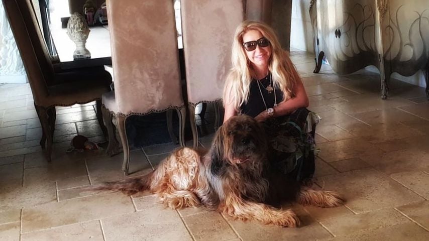 Reagiert Carmen Geiss so etwa auf den Hunde-Shitstorm?