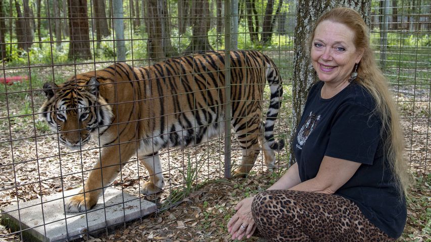 Carole Baskin, Gründerin von Big Cat Rescue