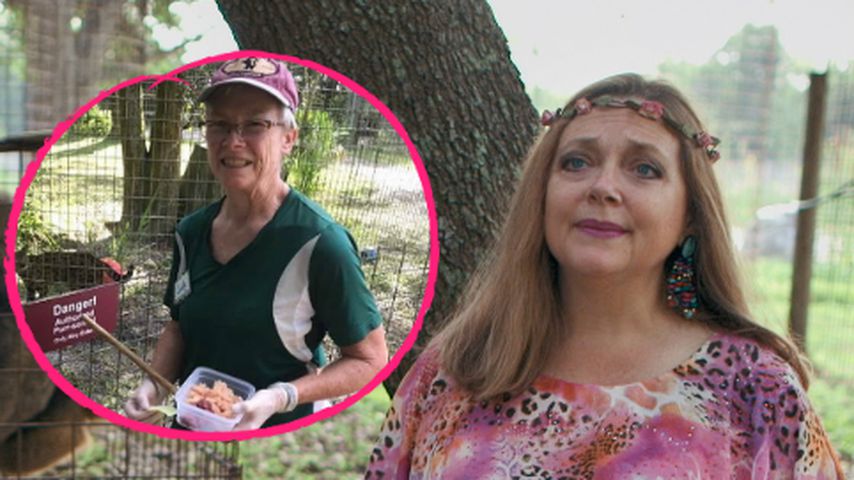 Nach Tiger-Attacke: Wie geht es Carole Baskins Angestellter?