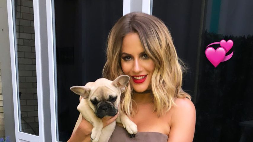 Caroline Flack mit ihrem Hund Ruby