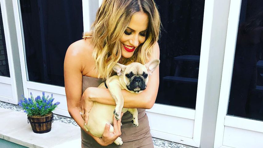 Caroline Flack quartiert Hündin Ruby in ein Luxus-Hotel ein