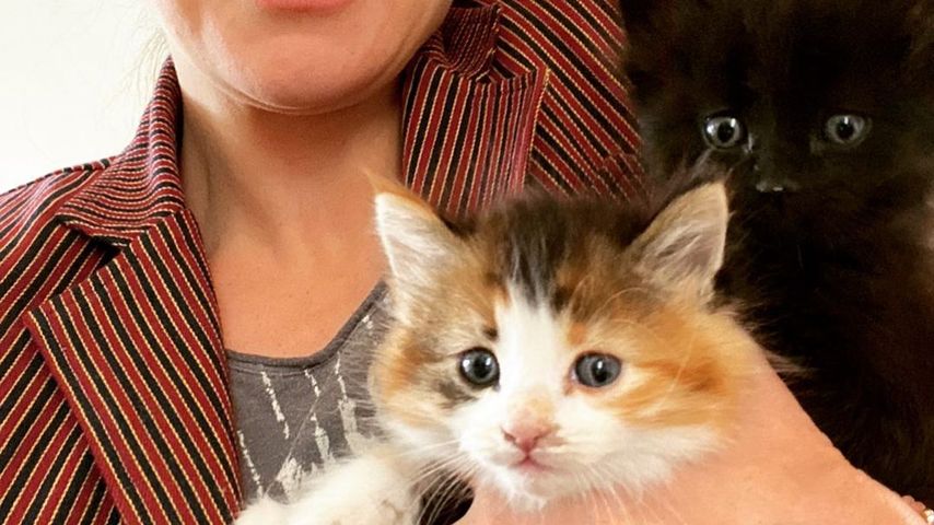 Caterina Scorsone mit ihren Katzen