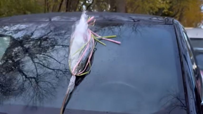 Cathy Hummels' Auto mit einer Rose