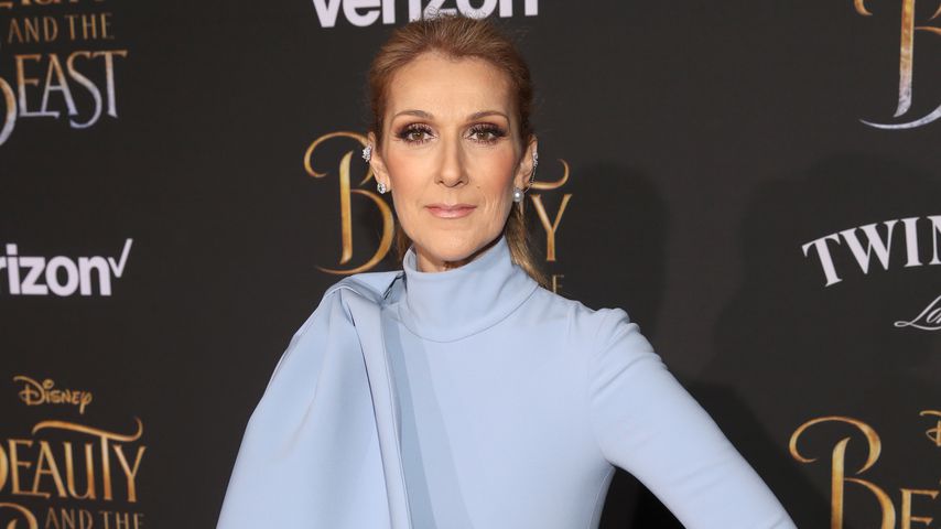 Sängerin Céline Dion