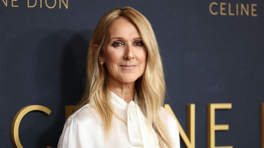 Céline Dion, Sängerin