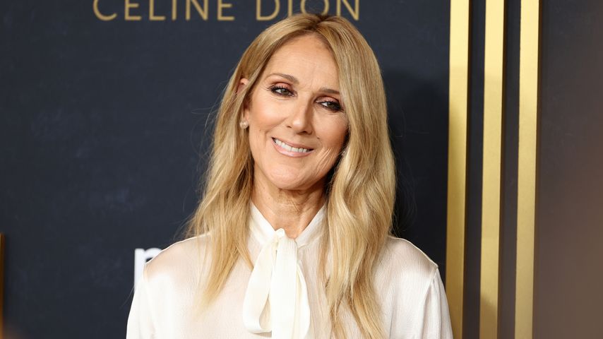 Céline Dion, Sängerin