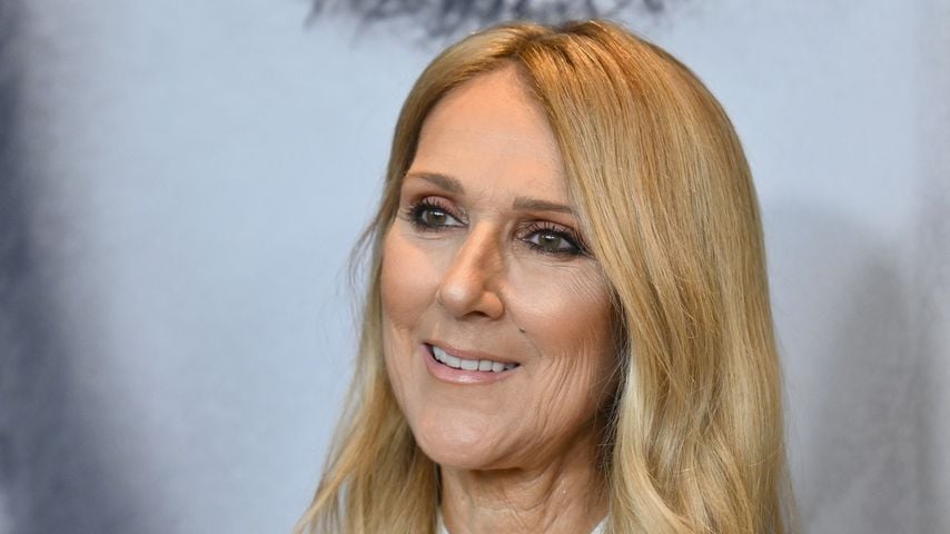 Céline Dion, Sängerin