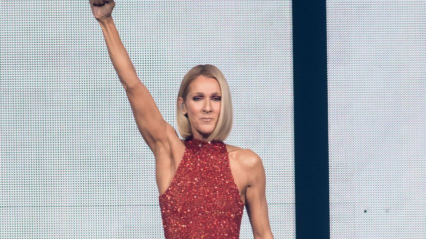 Céline Dion, Sängerin