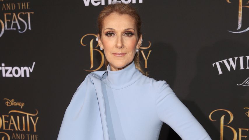 Céline Dion, Sängerin