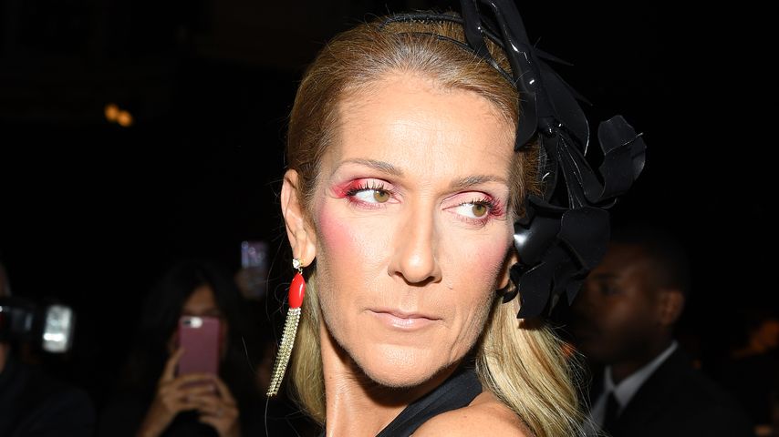 Céline Dion, Sängerin